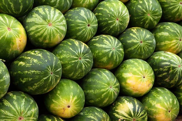 Les meilleurs bons plans pour acheter des produits frais