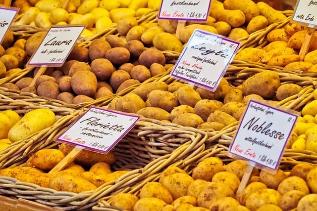 Les produits écologiques en promotion : où les trouver ?